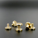 Solid Brass Chicago Screws